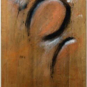 Stefano Bicini, Senza titolo 1994
