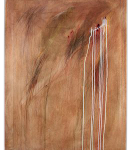 Stefano Bicini, Senza titolo 1989