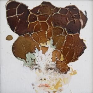 Alessandro Casetti, Untitled