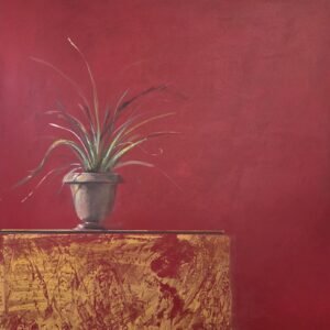 Marco Klee Fallani, Still life