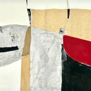 Silvia Grandi, Furore