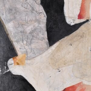 Silvia Grandi, Metamorfosi