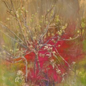 Lucy Toop, Primavera Rosa
