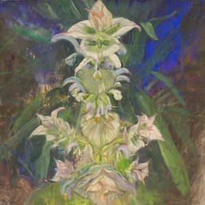 Lucy Toop, Clary sage