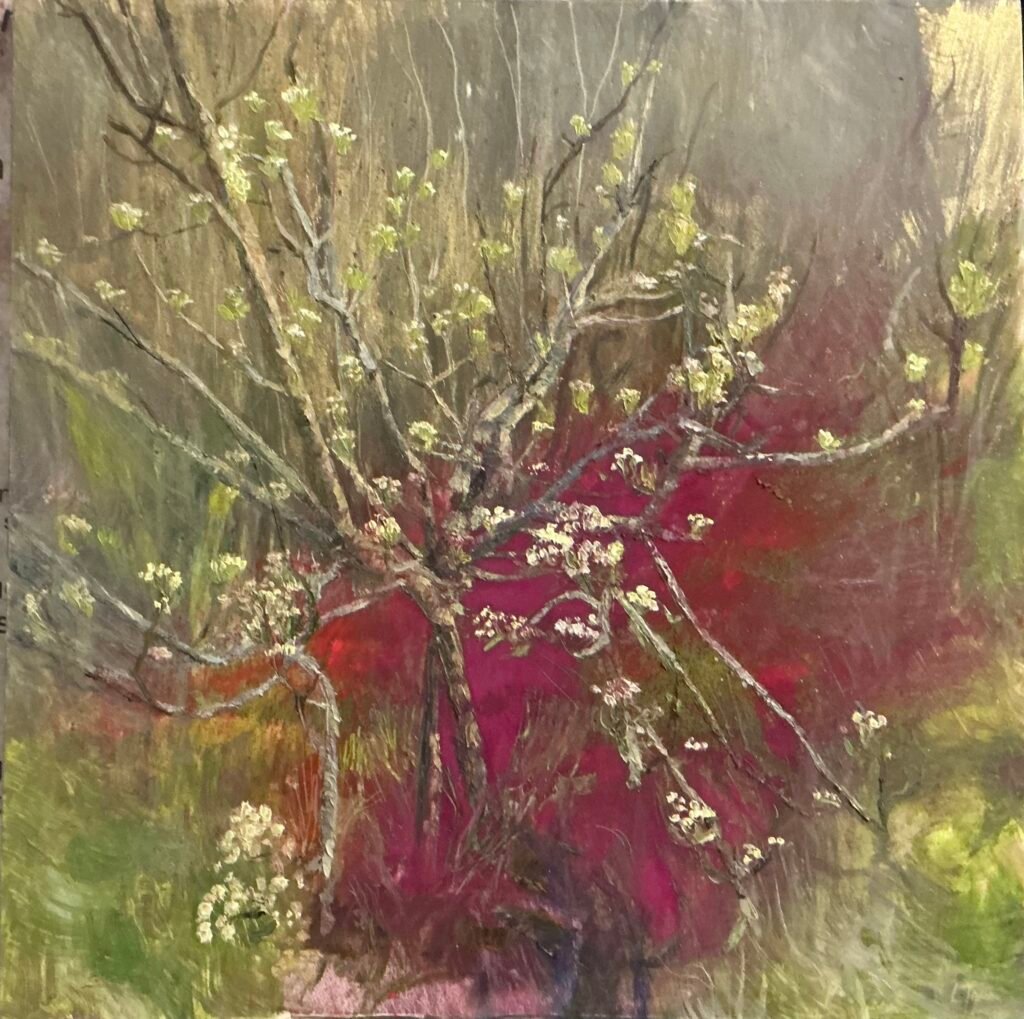 Primavera Rosa