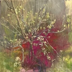Primavera Rosa