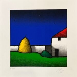 Tino Stefanoni, Corte