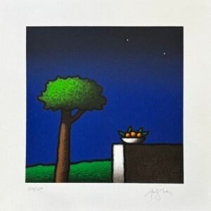 Tino Stefanoni, Vaso d'arance sul muretto
