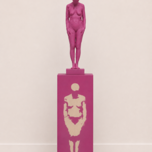 Siamo solo prodotti, Magenta