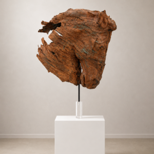 Cavallo forte, corten